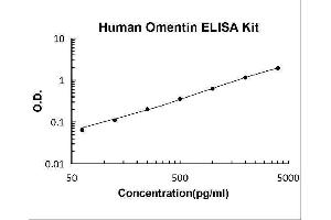 Intelectin 1 (Galactofuranose Binding) (ITLN1) ELISA Kit