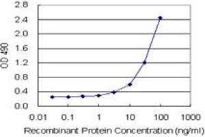 SPP1 (Human) Matched Antibody Pair