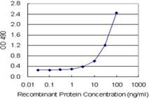 Sandwich ELISA detection sensitivity ranging from 3 ng/mL to 100 ng/mL. (SPP1 (Humain) Matched Antibody Pair)