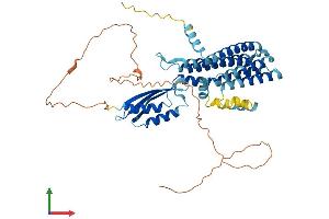 AlphaFold protein structure predicition of Human Recombinant SLC30A6 Protein, UniprotID Q6NXT4