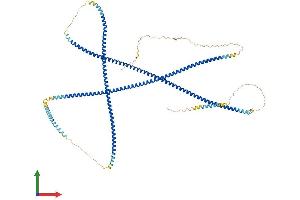 AlphaFold protein structure predicition of Human Recombinant CCHCR1 Protein, UniprotID Q8TD31