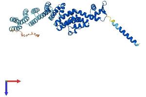 AlphaFold protein structure predicition of Mouse Recombinant Cops2 Protein, UniprotID P61202