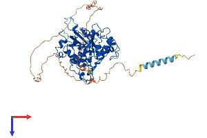 AlphaFold protein structure predicition of Mouse Recombinant St6galnac1 Protein, UniprotID Q9QZ39