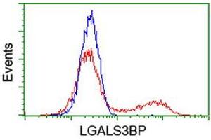 HEK293T cells transfected with either RC204918 overexpress plasmid (Red) or empty vector control plasmid (Blue) were immunostained by anti-LGALS3BP antibody (ABIN2454976), and then analyzed by flow cytometry. (LGALS3BP anticorps)
