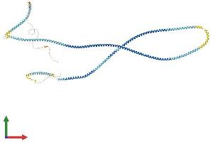 AlphaFold protein structure predicition of Mouse Recombinant Hmmr Protein, UniprotID Q00547