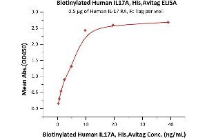 Immobilized Human IL-17 RA, Fc Tag (ABIN2181346,ABIN2181345) at 5 μg/mL (100 μL/well) can bind Biotinylated Human IL17A, His,Avitag (ABIN6810035,ABIN6938852) with a linear range of 0.