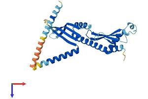 AlphaFold protein structure predicition of Mouse Recombinant Cenpp Protein, UniprotID Q9CZ92