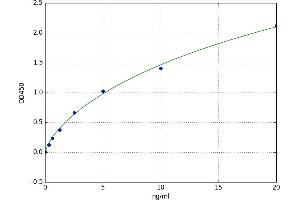 A typical standard curve