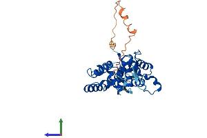 AlphaFold protein structure predicition of Mouse Recombinant Golph3 Protein, UniprotID Q9CRA5