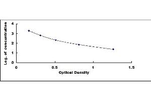 Pituitary Adenylate Cyclase Activating Peptide ELISA Kit