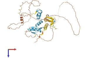 AlphaFold protein structure predicition of Mouse Recombinant Ikzf5 Protein, UniprotID Q8BU00