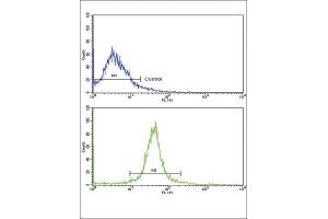 Flow Cytometry (FACS) image for anti-Adiponectin Receptor 1 (ADIPOR1) antibody (ABIN3003843)
