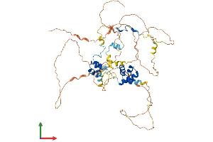 AlphaFold protein structure predicition of Mouse Recombinant Mier2 Protein, UniprotID Q3U3N0