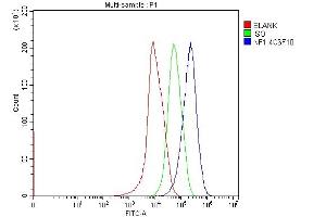 Flow Cytometry analysis of HepG2 cells using anti-Neurofibromin/NF1 antibody (ABIN7600196).