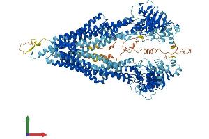 AlphaFold protein structure predicition of Human Recombinant ABCB11 Protein, UniprotID O95342