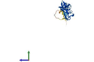 AlphaFold protein structure predicition of Human Recombinant LMO4 Protein, UniprotID P61968