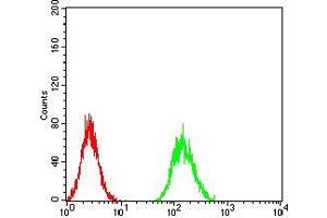 Flow cytometric analysis of Hela cells using AKT3 mouse mAb (green) and negative control (red).