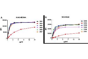Affinity ranking of different DimAb clones by titration of rabbit DimAb antibody concentration onto K562-BCMA or NCI-H929 cells.