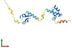 AlphaFold protein structure predicition of Human Recombinant CGGBP1 Protein, UniprotID Q9UFW8