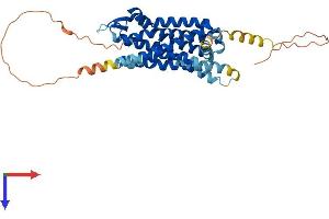 AlphaFold protein structure predicition of Human Recombinant SSTR1 Protein, UniprotID P30872