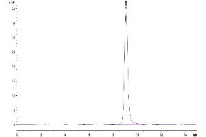 The purity of Cynomolgus CD38 is greater than 95 % as determined by SEC-HPLC. (CD38 Protein (AA 44-301) (His tag))