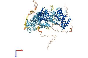 AlphaFold protein structure predicition of Human Recombinant ERCC3 Protein, UniprotID P19447