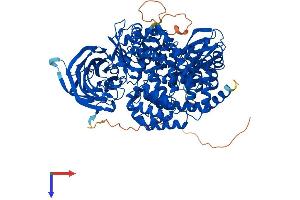 AlphaFold protein structure predicition of Human Recombinant ERAP1 Protein, UniprotID Q9NZ08