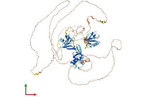 AlphaFold protein structure predicition of Human Recombinant DVL2 Protein, UniprotID O14641