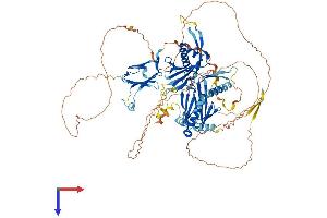 AlphaFold protein structure predicition of Human Recombinant DNAAF2 Protein, UniprotID Q9NVR5