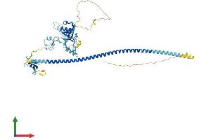 AlphaFold protein structure predicition of Mouse Recombinant Brap Protein, UniprotID Q99MP8