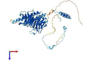 AlphaFold protein structure predicition of Human Recombinant DNAI2 Protein, UniprotID Q9GZS0