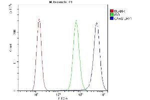 Flow Cytometry analysis of A431 cells using anti-CARS antibody (ABIN5692995). (CARS anticorps  (AA 510-748))