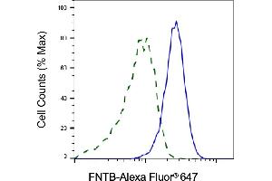 Validation of FNTB knockdown using flow cytometry. (Recombinant FNTB anticorps)