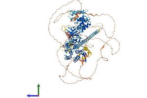 AlphaFold protein structure predicition of Mouse Recombinant Bub1 Protein, UniprotID O08901