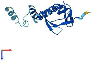 AlphaFold protein structure predicition of Human Recombinant SNRNP25 Protein, UniprotID Q9BV90