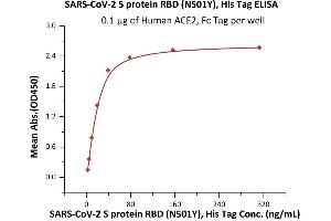Immobilized Human ACE2, Fc Tag (ABIN6952459,ABIN6952465) at 1 μg/mL (100 μL/well) can bind SARS-CoV-2 S protein RBD (N501Y), His Tag (ABIN6973223) with a linear range of 2-39 ng/mL (QC tested).