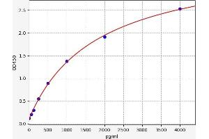Decorin (DCN) ELISA Kit