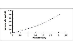 Interleukin 28B (Interferon, lambda 3) (IL28B) ELISA Kit