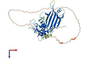AlphaFold protein structure predicition of Human Recombinant IRF9 Protein, UniprotID Q00978