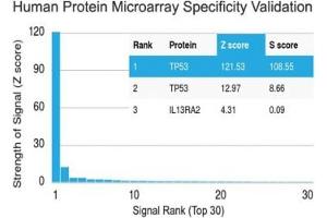 Analysis of HuProt(TM) microarray containing more than 19,000 full-length human proteins using p53 antibody (clone PAb 122).