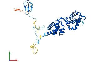 AlphaFold protein structure predicition of Mouse Recombinant Gtf2b Protein, UniprotID P62915