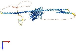 AlphaFold protein structure predicition of Human Recombinant GLE1 Protein, UniprotID Q53GS7