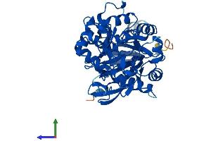 AlphaFold protein structure predicition of Mouse Recombinant Amdhd2 Protein, UniprotID Q8JZV7