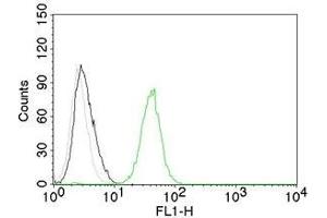 Flow Cytometry of human CD31 on Jurkat cells.