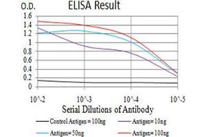 Black line: Control Antigen (100 ng);Purple line: Antigen (10ng); Blue line: Antigen (50 ng); Red line:Antigen (100 ng) (Complement C3c anticorps  (AA 1521-1649))