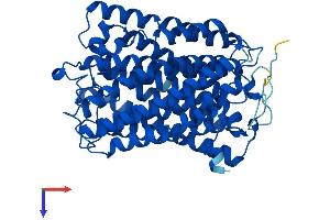 AlphaFold protein structure predicition of Human Recombinant MT-CO1 Protein, UniprotID P00395