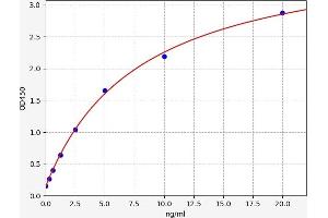 Typical standard curve (ABCC12 Kit ELISA)
