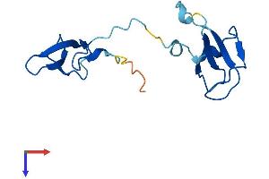 AlphaFold protein structure predicition of Human Recombinant POLR2I Protein, UniprotID P36954