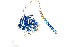 AlphaFold protein structure predicition of Human Recombinant GLT8D1 Protein, UniprotID Q68CQ7