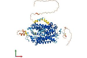 AlphaFold protein structure predicition of Human Recombinant SLC6A9 Protein, UniprotID P48067